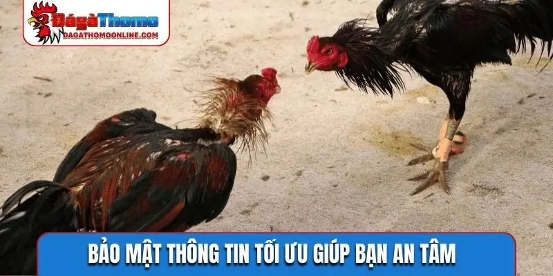 Bảo mật thông tin tối ưu giúp bạn an tâm