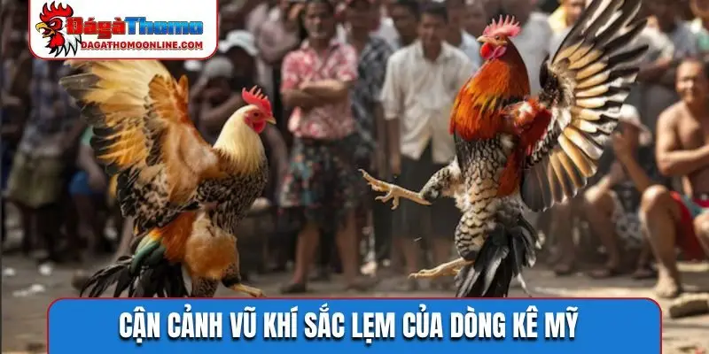 Cận cảnh vũ khí sắc lẹm của dòng kê Mỹ