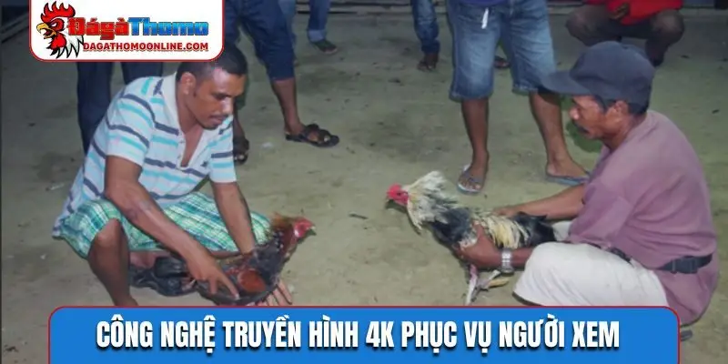Công nghệ truyền hình 4K phục vụ người xem