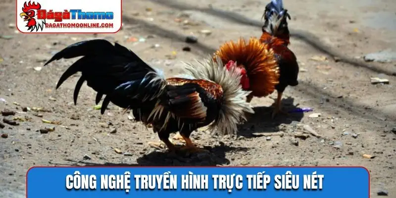 Công nghệ truyền hình trực tiếp siêu nét