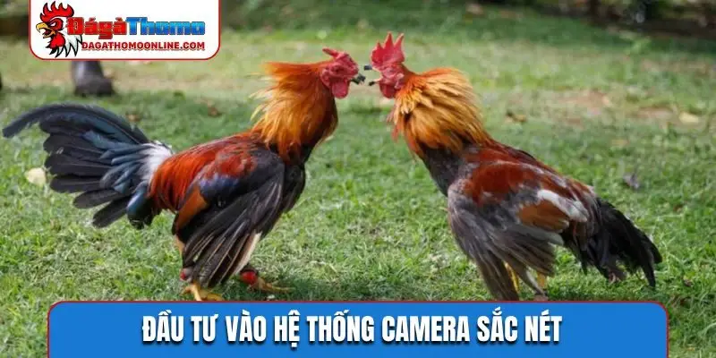 Đầu tư vào hệ thống camera sắc nét
