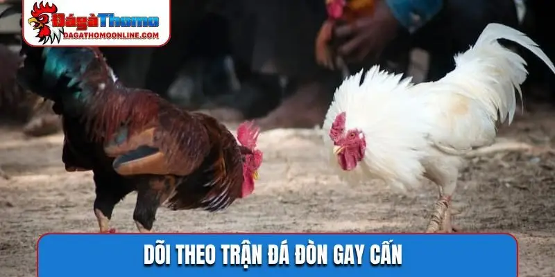 Dõi theo trận đá đòn gay cấn