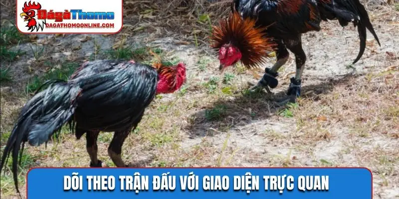 Dõi theo trận đấu với giao diện trực quan