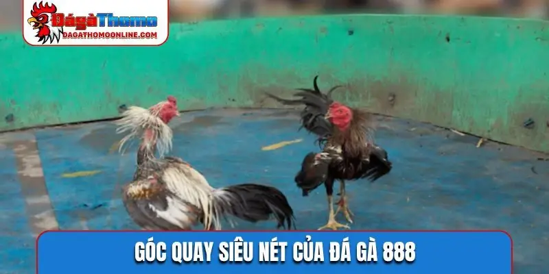 Hệ thống cửa cược đẳng cấp số 1