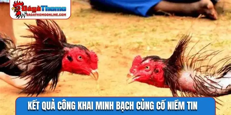 Kết quả công khai minh bạch củng cố niềm tin