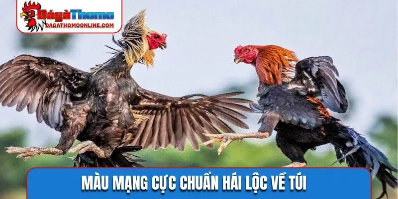 Màu mạng cực chuẩn hái lộc về túi