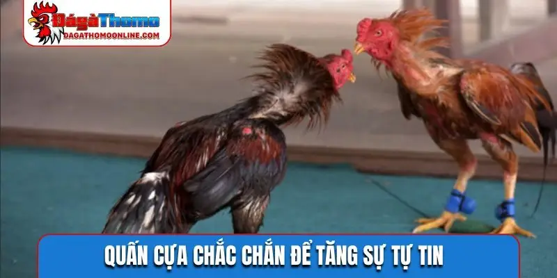 Quấn cựa chắc chắn để tăng sự tự tin