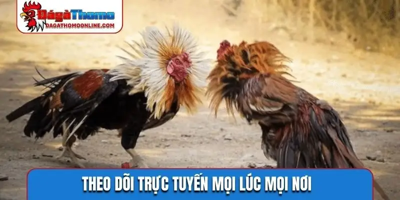 Theo dõi trực tuyến mọi lúc mọi nơi