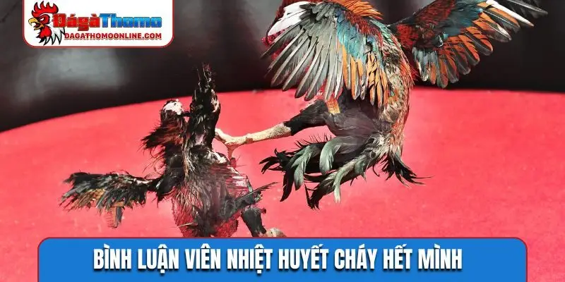 Bình luận viên nhiệt huyết cháy hết mình