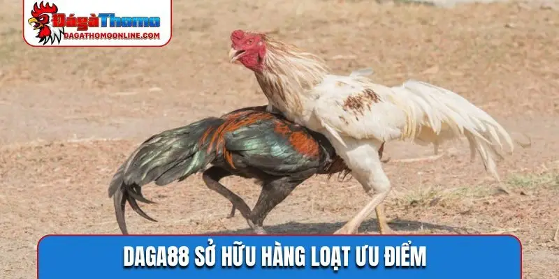 Daga88 sở hữu hàng loạt ưu điểm