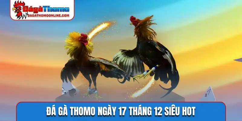 Đá gà Thomo ngày 17 tháng 12 siêu hot