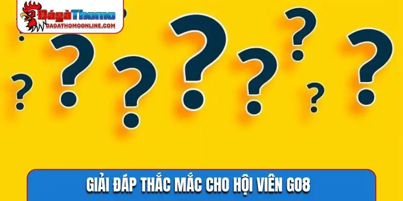 Giải đáp thắc mắc cho hội viên GO8