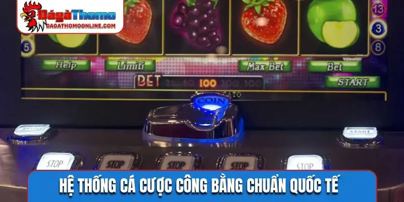 Hệ thống cá cược công bằng chuẩn quốc tế